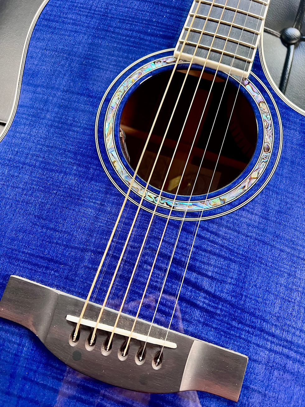 縮圖：Morris Guitars Handmade Premium TC-16 SBU