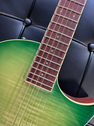 ESP / LTD TL-6 Thinline, Emerald Green Sunburst | Play Music