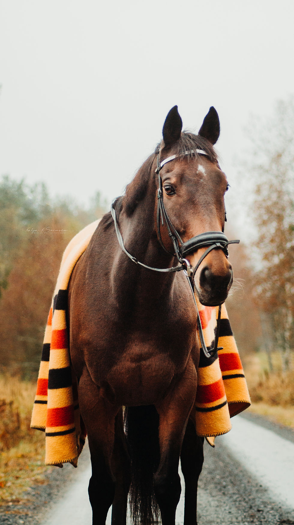 Pelle