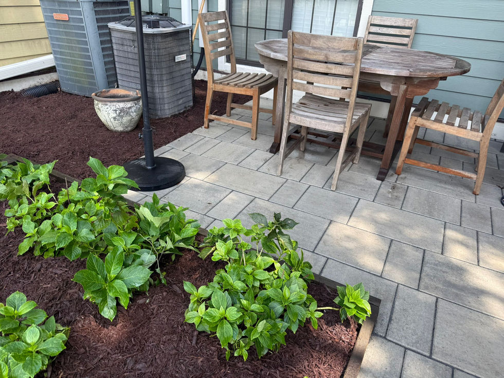 PHOTO-2025-08-19-15-01-25