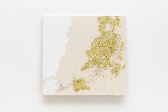 Cópia de 221019_marina_schroeder_010.jpg