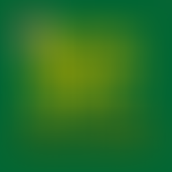 PLAYLIST ESPECIAL DE NATAL! - Escolha sua plataforma e entre em clima de festas!