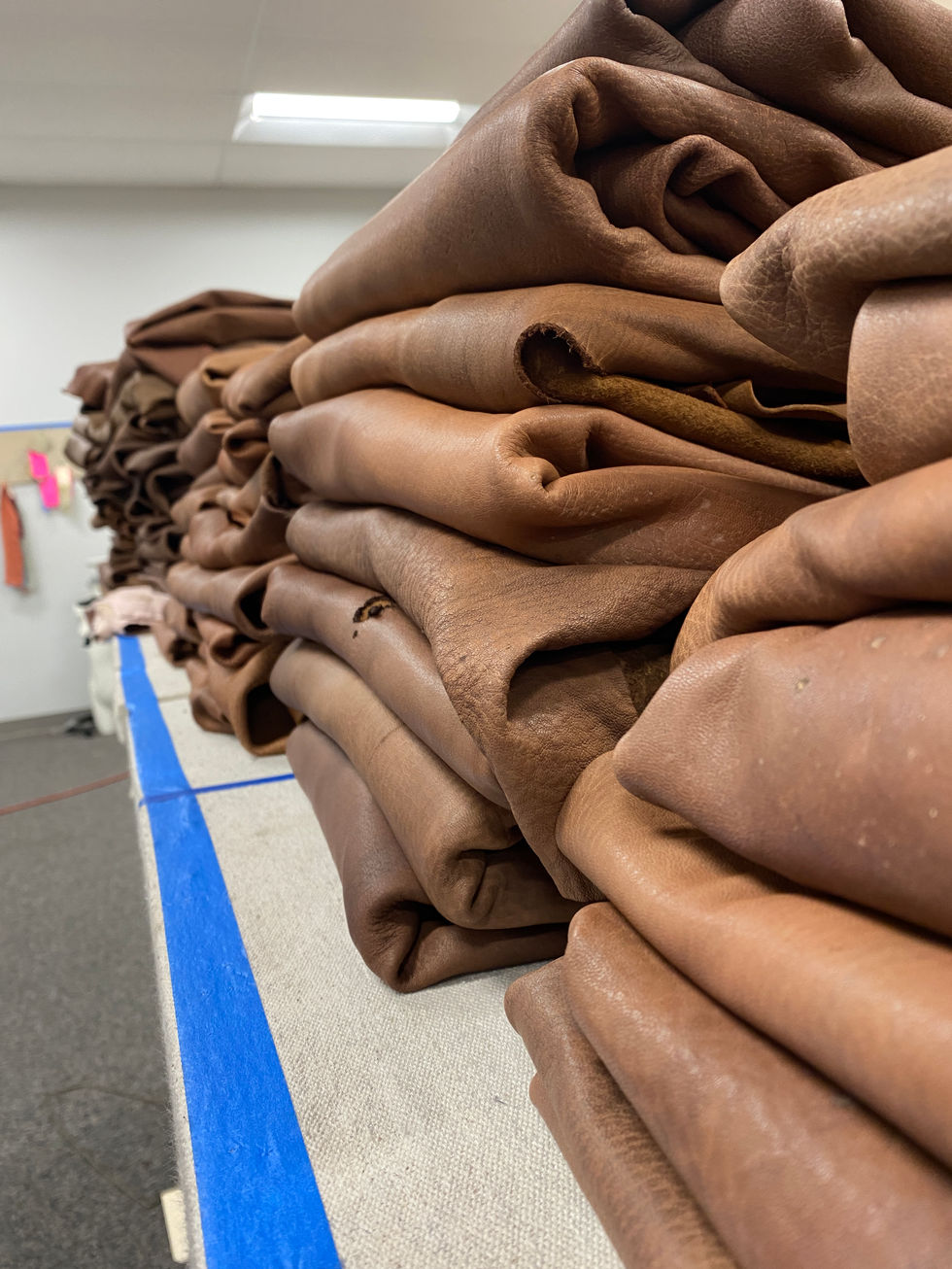 20210816_122623335_iOS