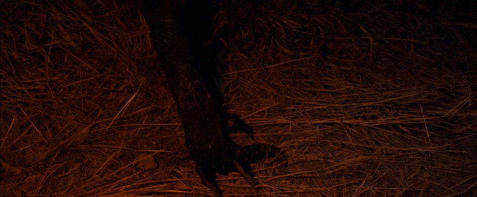 20200921_234412251_iOS