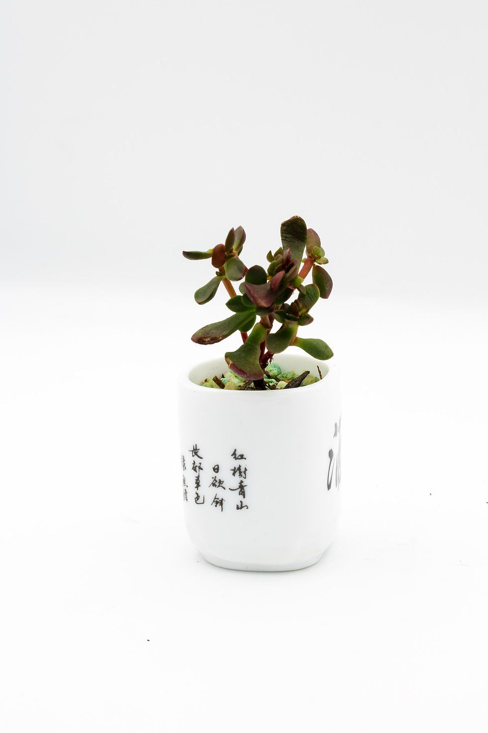 Thumbnail: Petite Calligraphy Painted Cup