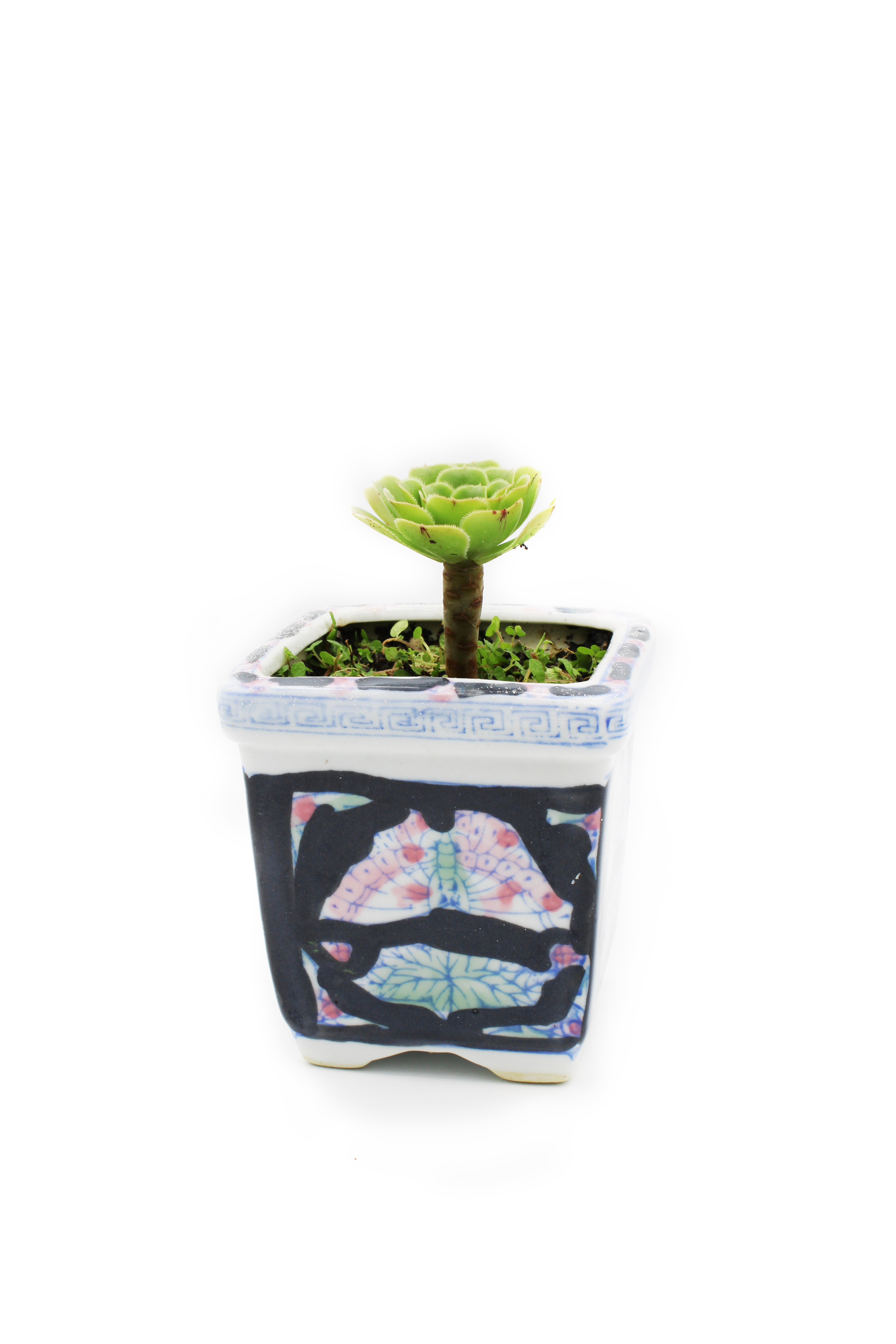 Grecian Inspired Planter