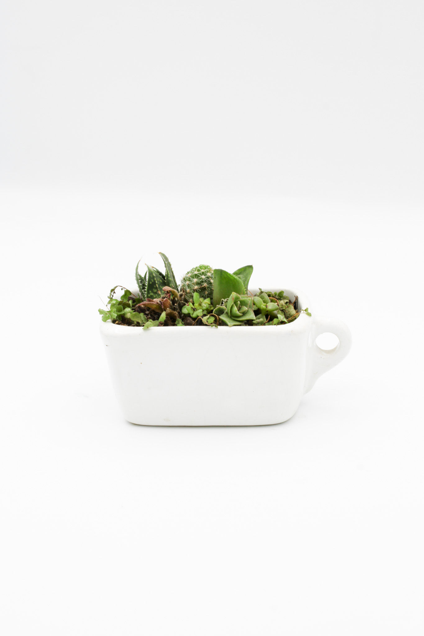 White Minimalist Pourer