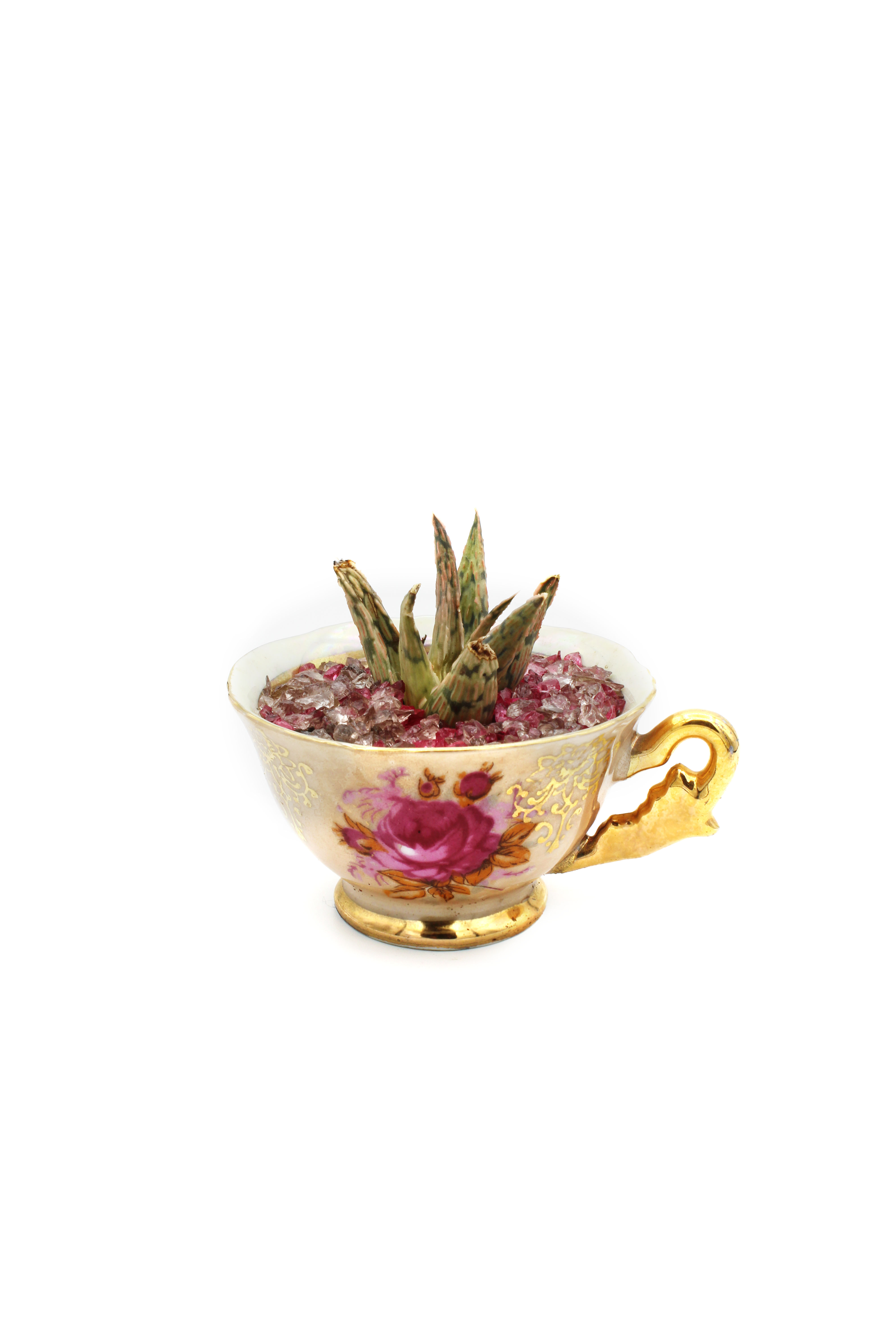 Antique Pink Roses Porcelain Gold Flecked Tea Cup