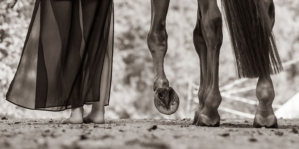 Begleitung mit Hufen - Rolle, Haltung und Persönlichkeit für Trauerbegleitende