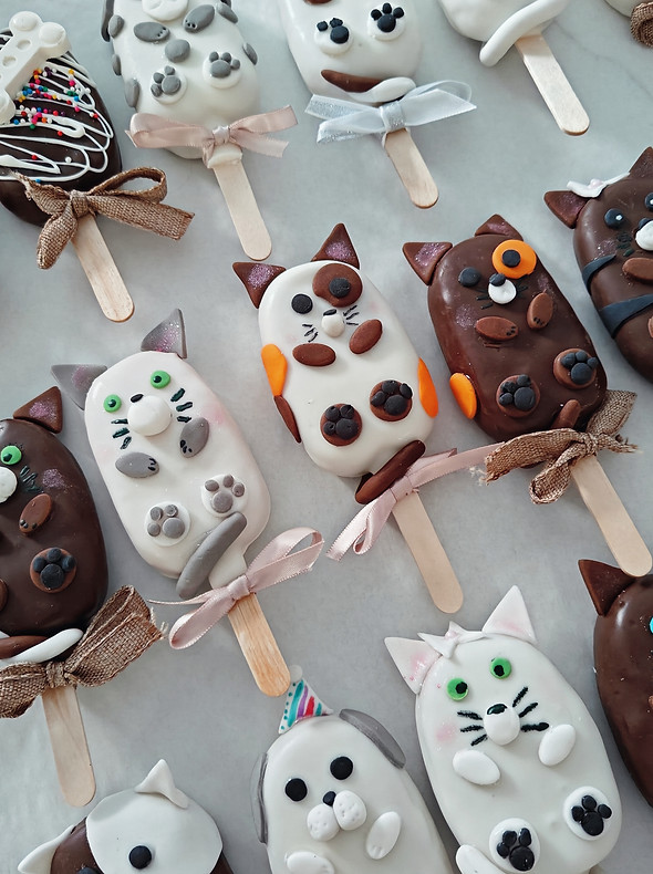 cat and dog pet themed boy_s birthday party cakesicles 2_edited.jpg