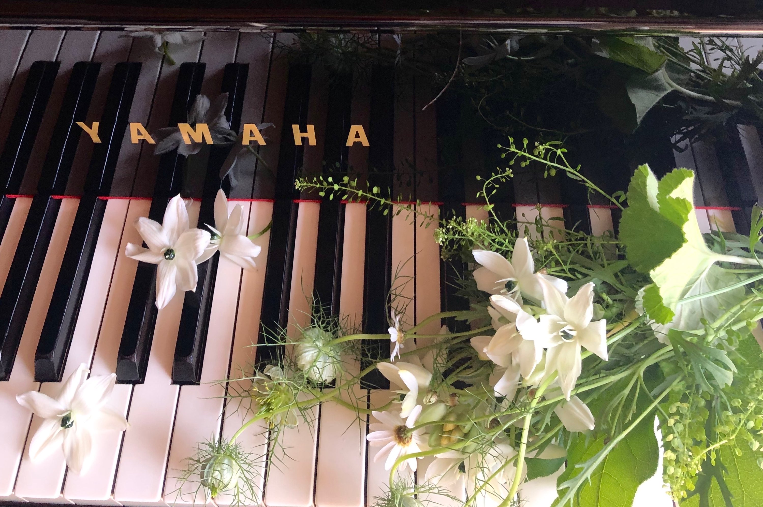 執筆者の写真: chieno ogi