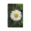 Miniature : Carnet à spirale -Carnet de notes - Paquerette 