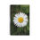 Miniature : Carnet à spirale -Carnet de notes - Paquerette 