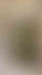 Uzunlar Emlak’tan hayalinizdeki yaşam alanına adım atacağınız benzersiz bir fırsat!