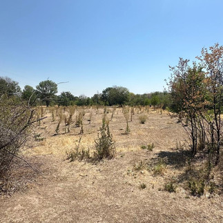 Uzunlar Emlak'tan; Afyonkarahisar merkeze sadece 8 km mesafede, Salar merkezde konumlanan bu 4.500 m² büyüklüğündeki tarla; hem yatırım hem de uzun vadeli değerlendirme düşünenler için dikkat çeken bir fırsat sunuyor. Doğayla iç içe, geniş ve ferah yapısıyla öne çıkan arazi; çevresindeki yeşil dokusu, ağaçlık alanları ve sakin atmosferiyle şehirden uzaklaşmadan nefes alabileceğiniz bir konumda yer alıyor.