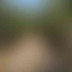 Uzunlar Emlak'tan; Afyonkarahisar merkeze sadece 8 km mesafede, Salar merkezde konumlanan bu 4.500 m² büyüklüğündeki tarla; hem yatırım hem de uzun vadeli değerlendirme düşünenler için dikkat çeken bir fırsat sunuyor. Doğayla iç içe, geniş ve ferah yapısıyla öne çıkan arazi; çevresindeki yeşil dokusu, ağaçlık alanları ve sakin atmosferiyle şehirden uzaklaşmadan nefes alabileceğiniz bir konumda yer alıyor.