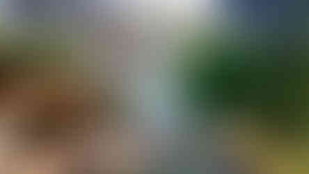 Uzunlar Emlak'tan şehrin gürültüsünden uzak, ancak tüm olanaklarına yakın konumda yer alan bu 1915 m² büyüklüğündeki bahçe; hem yaşam hem yatırım arayanlar için ideal bir fırsat sunuyor.