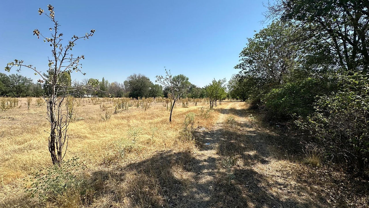Uzunlar Emlak'tan; Afyonkarahisar merkeze sadece 8 km mesafede, Salar merkezde konumlanan bu 4.500 m² büyüklüğündeki tarla; hem yatırım hem de uzun vadeli değerlendirme düşünenler için dikkat çeken bir fırsat sunuyor. Doğayla iç içe, geniş ve ferah yapısıyla öne çıkan arazi; çevresindeki yeşil dokusu, ağaçlık alanları ve sakin atmosferiyle şehirden uzaklaşmadan nefes alabileceğiniz bir konumda yer alıyor.