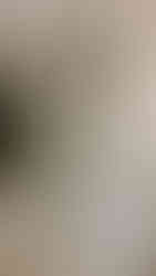 Uzunlar Emlak'tan 5+1 Teraslı Dubleks Satılık Daire