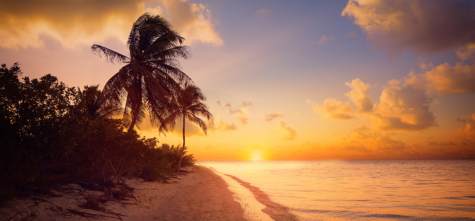 Untitled design (9).png