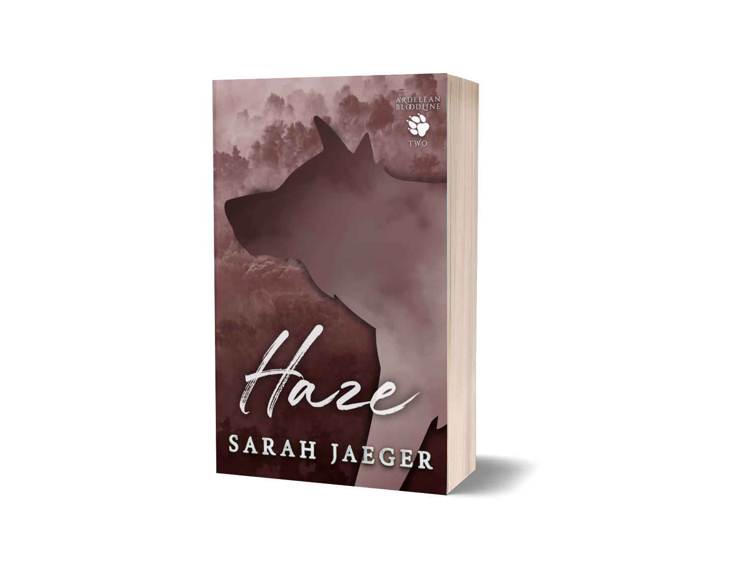 Haze Paperback