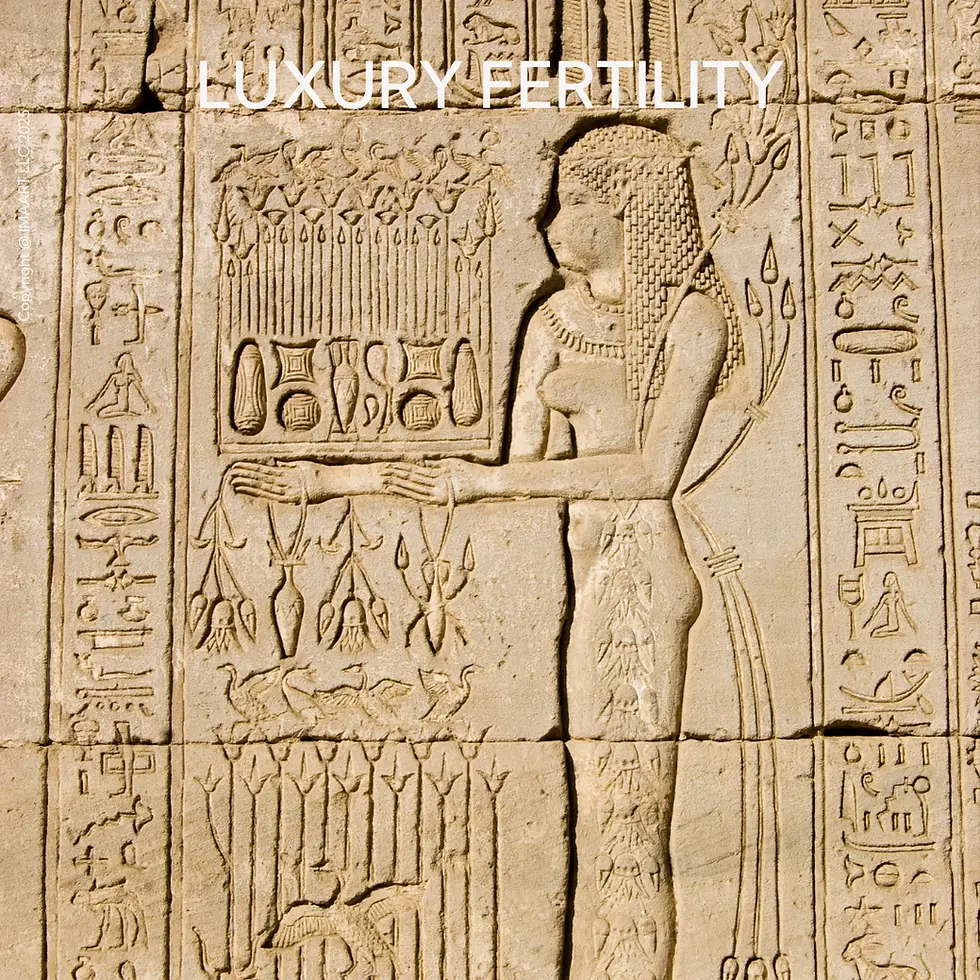 What a Luxury Fertility Concierge Truly Does - The Art of Guidance