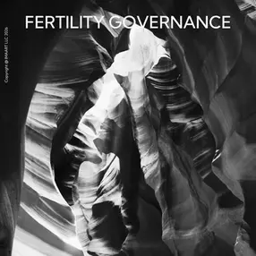 Fertility Family Office governance concept — IMA ART Fertility Beverly Hills