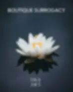 White lotus floating on dark water, reflecting tranquility. Text reads "BOUTIQUE SURROGACY" and "IMA ART". Peaceful, serene mood. At IMA ART Fertility, surrogates are more than participants in a process — they are the heart of every family story we help create.