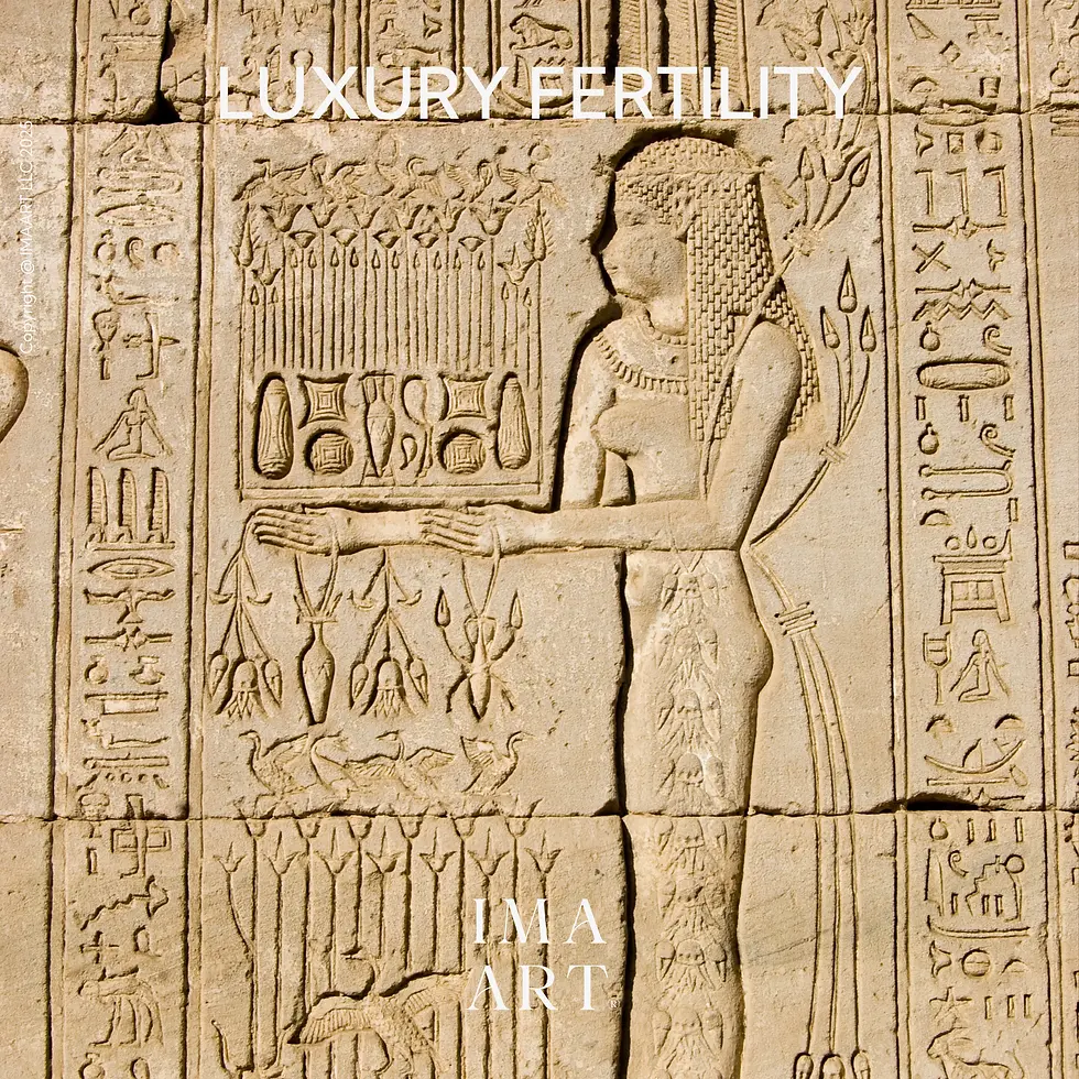 Snow mountain in California