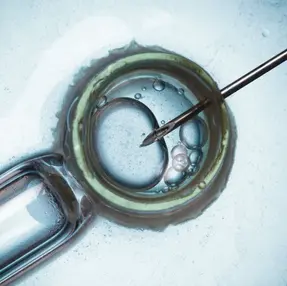 Is Pre-Implantation Genetic Testing Right for You?