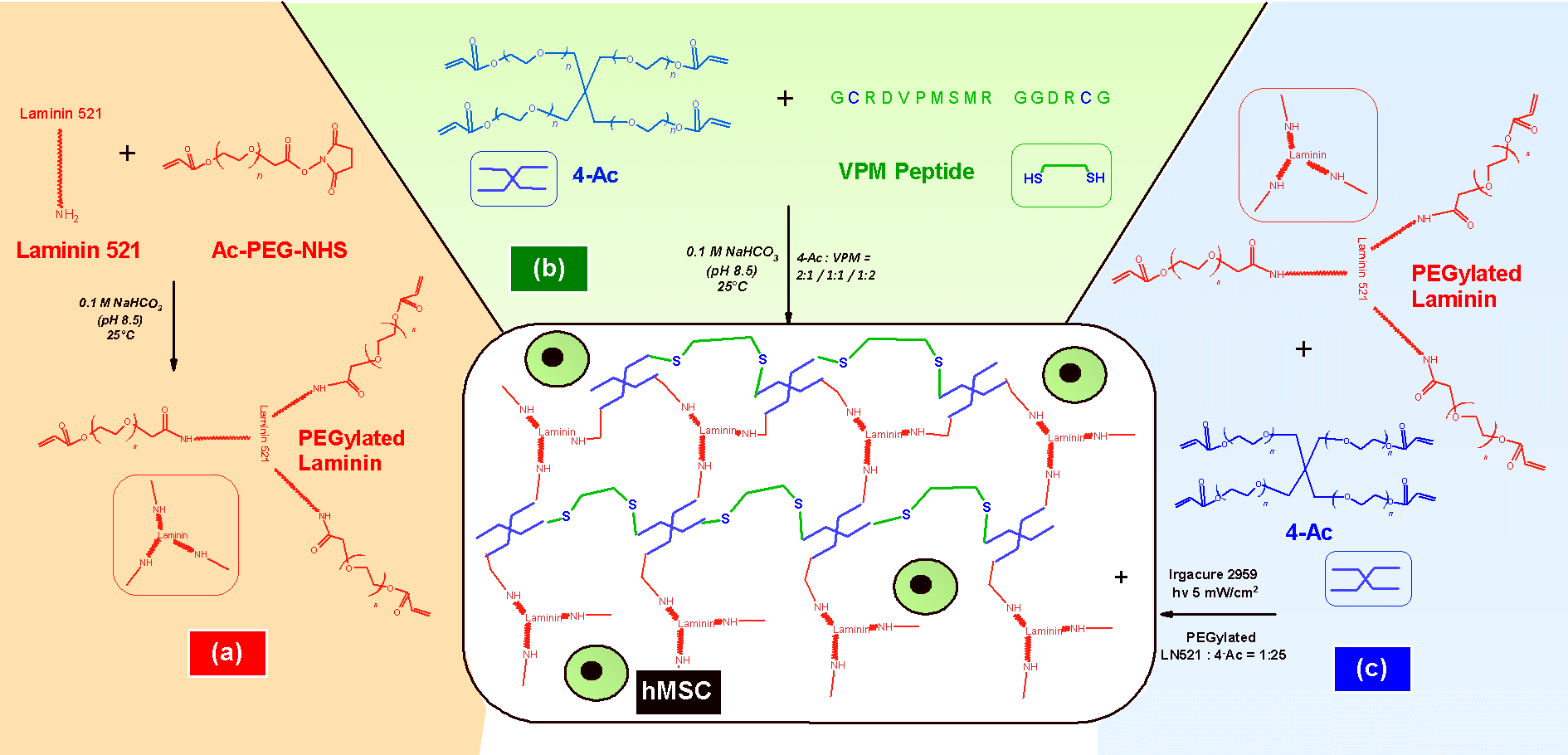 ChemicalMechanism.gif