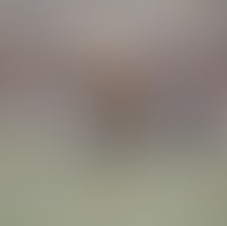 In the Jungle!! The Mighty Jungle!!