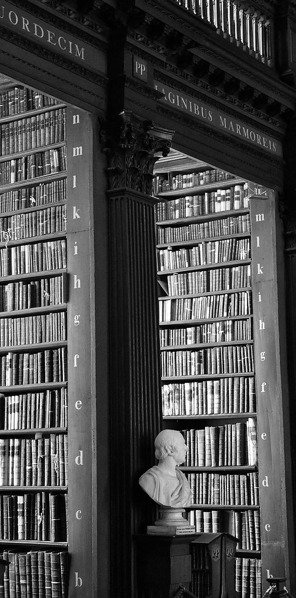 Traditional Library_edited.jpg