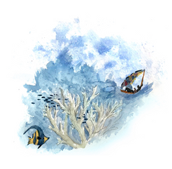 Illustration - la sagesse du Ouistiti