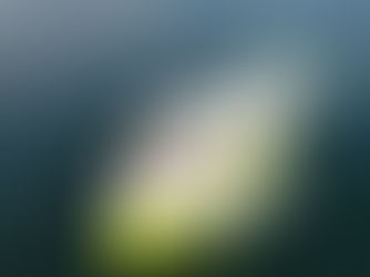 Оренда швидкісного катера в Мармарисі