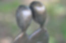 Samen