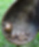 Geboren