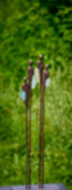 Lichtdragers