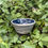 Thumbnail: Petite Bowl in Navy with Three Fish