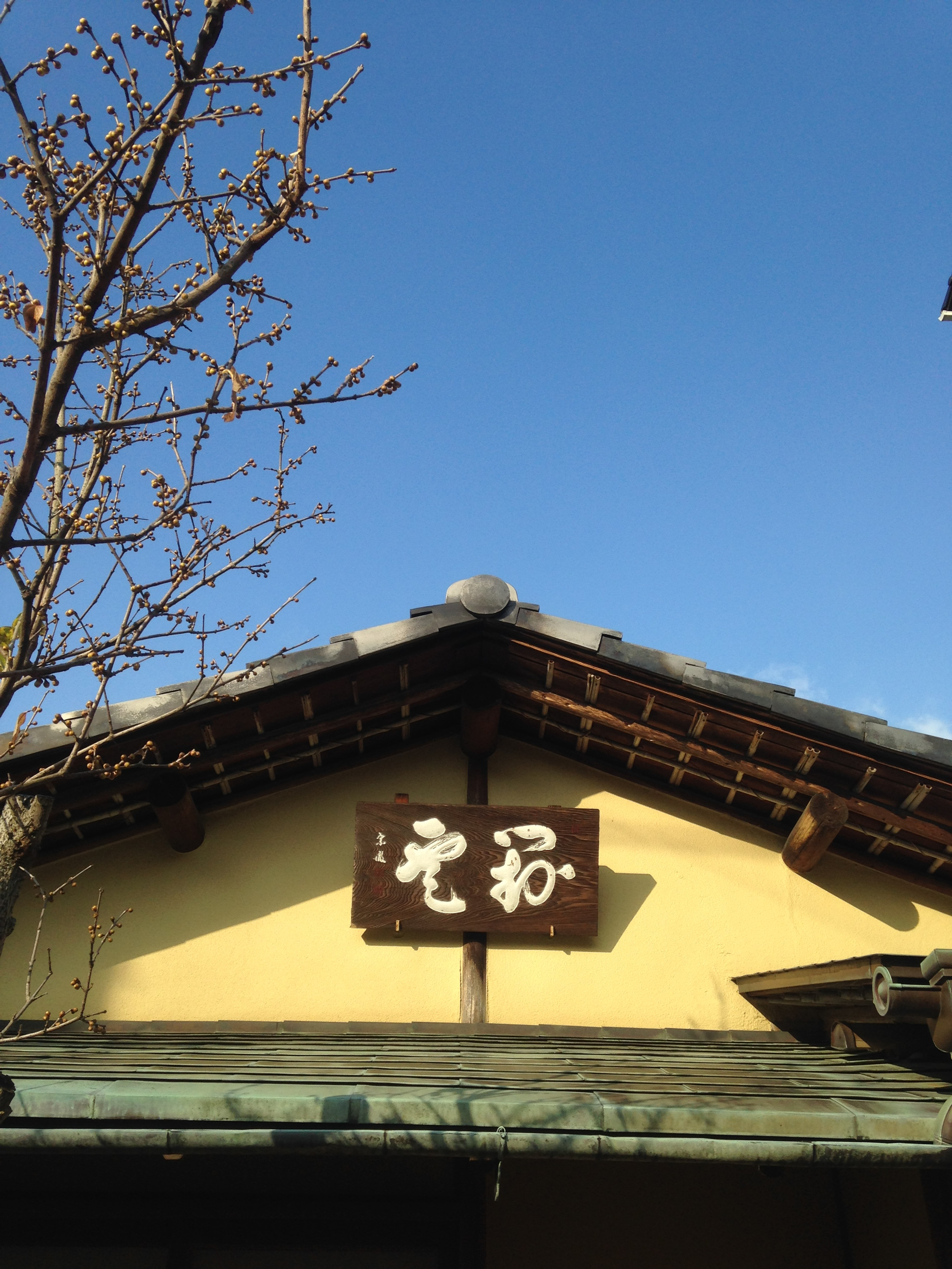 茶室のはなし: 茶室から気やすい茶の間へ 茶室對雲 | 新古美術 神田石雲堂