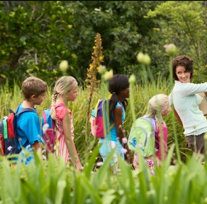 Staying Safe on Field Trips with Food Allergies