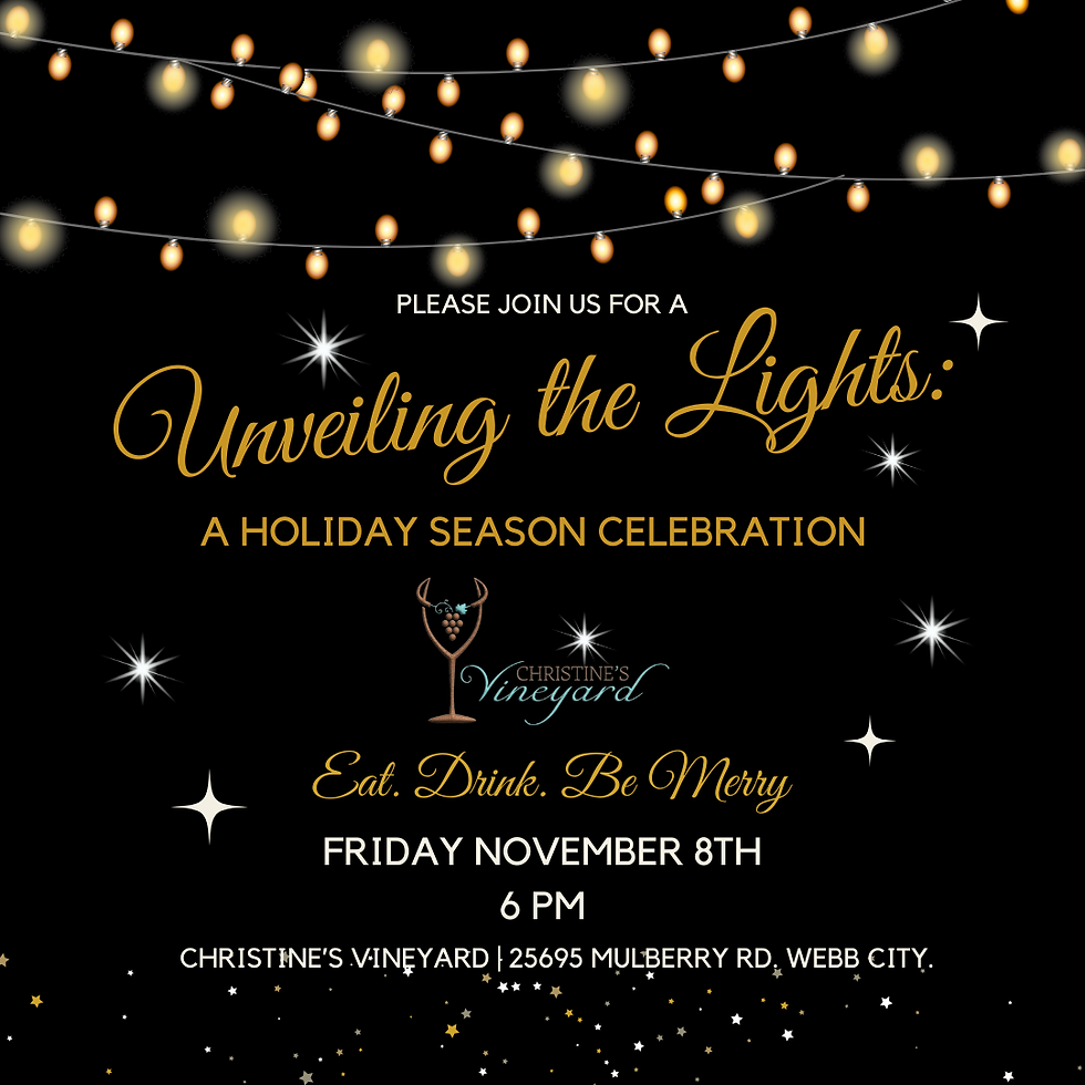 Unveiling the lights: A Holiday Season Celebration
