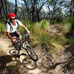 Anglesea-Mountain-biking 15-medium.jpg
