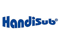 Logo Handisub