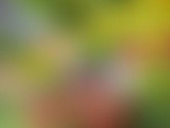 Finding Serenity in Creativity:  Exploring the Therapeutic Benefits of Crafting and Hobbies