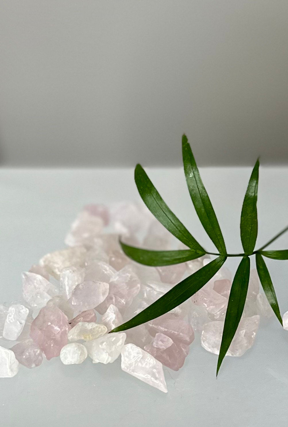 Crystal Gem Chips 50g | Rose Quartz