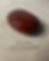 Palm Stone Red Jasper