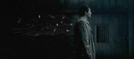Mf - Cas Gold wings
