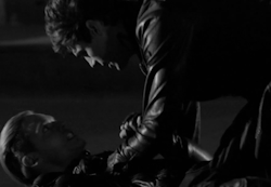tumblr_o9l20b3sdf1vy21olo6_250