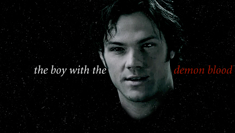 tumblr_lerkglRjrF1qe8a0fo1_500